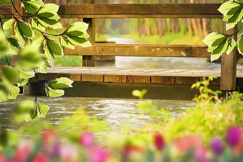 HD wallpaper: nature, spring, bridge, water, aesthetic, flowers, spring ...