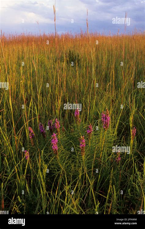 Flint hills scenic byway hi-res stock photography and images - Alamy