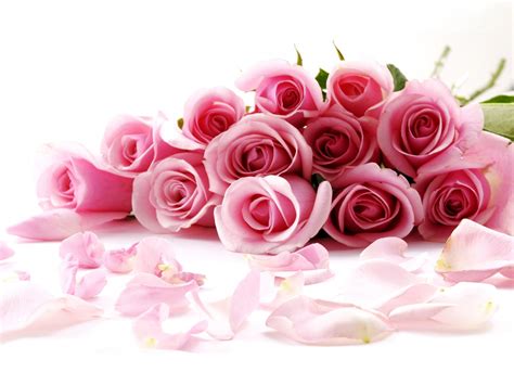 Valentines Day Roses Wallpaper - 1600x1200