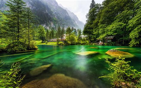 Swiss nature, summer, forest, lake, mountains, Switzerland, Europe ...