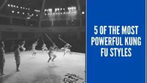 5 of the Most Powerful Kung Fu Styles [Updated 2020]