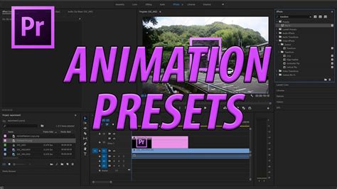 Text animation premiere pro - authorityreqop