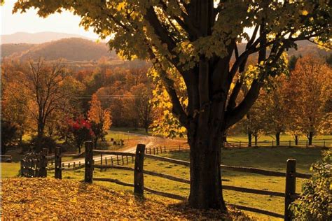 10 Perfect Things to do in Woodstock, Vermont in the Fall