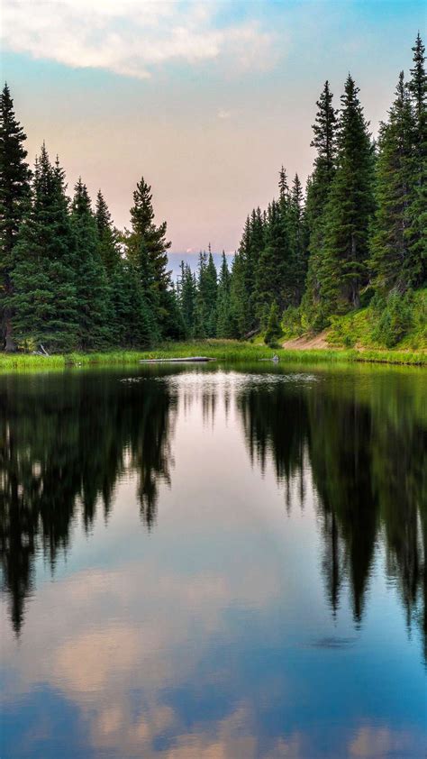 Forest Lake Reflection desktop wallpaper + Wallpapers Download 2024