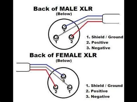 How to Fix an XLR Cable (Soldering Guide)