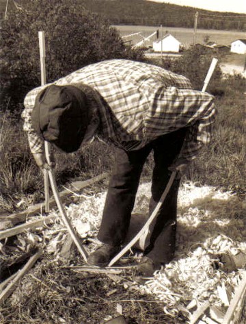 Moise Flamand pulling a square-toe snowshoe frame into shape ; the frame has been entirely pre-bent over the knee prior to the final bending ; Manouane, Quebec 1979 ; from ''Making the Attikamek Snowshoe'' , photo Henri Vaillancourt