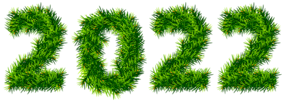 2022_Pine_Tree_PNG_Clipart_Image