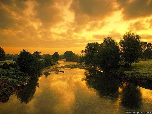 ciel jaune