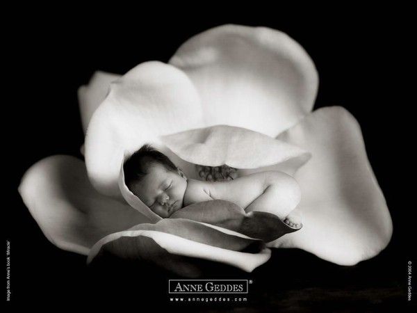 Anne Geddes