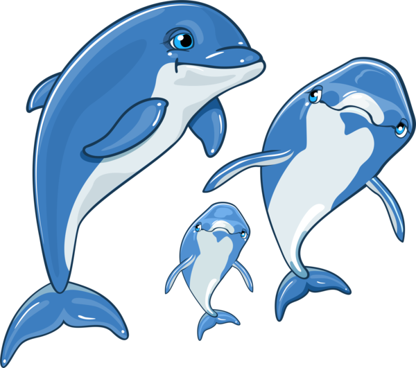 Dauphins