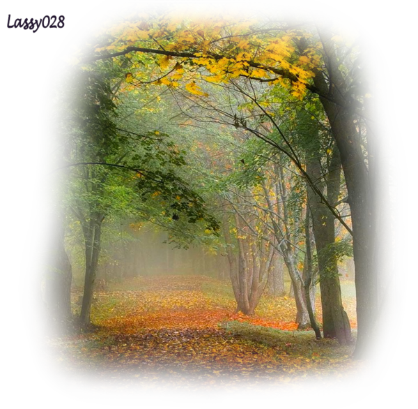 automne,paysage,couleurs