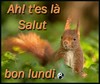 BON LUNDI TOUT LE MONDE/RETOUR DE LA PLUIE...ET DU VENT