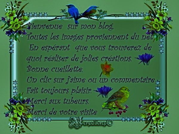 Bienvenue sur mon blog