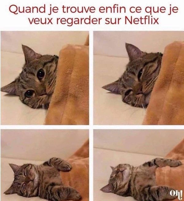 ha..ha..chat aussi