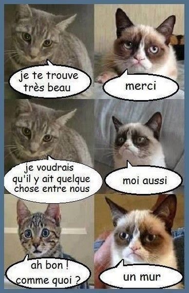 humour