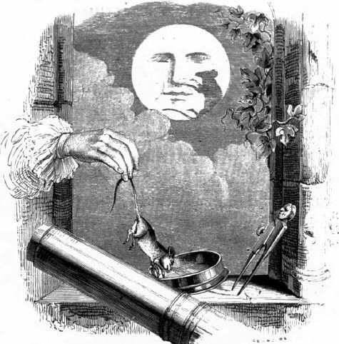 UN ANIMAL DANS LA LUNE PAR JEAN DE LA FONTAINE 