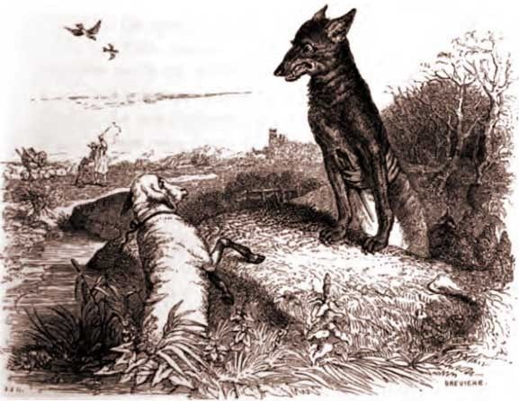 LE LOUP ET LE CHIEN DE LA FONTAINE