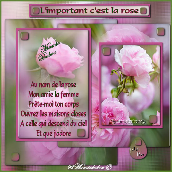 L'important c'est la rose