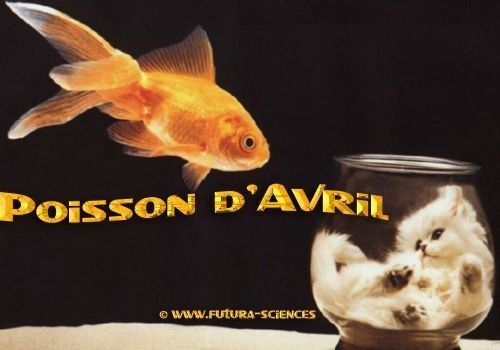 gifs poisson d'avril