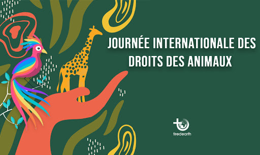 Journée internationale d. droits des animaux