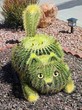 Chat "cactus"