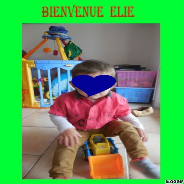 Bienvenue a ELIE