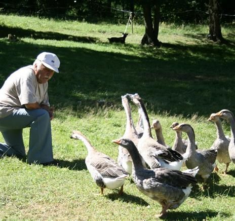 decouvrir-les-animaux-de-la-ferme-du-parc.jpg