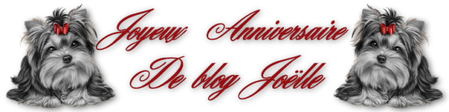 signature_pour_jojo