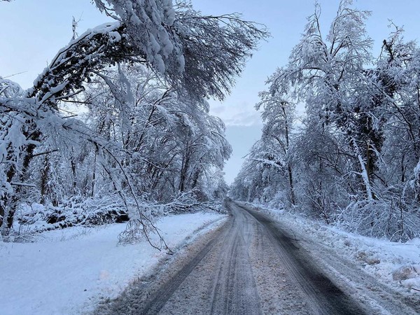 Alsace 15 janvier