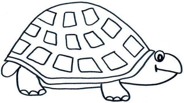 tortue a dessiner