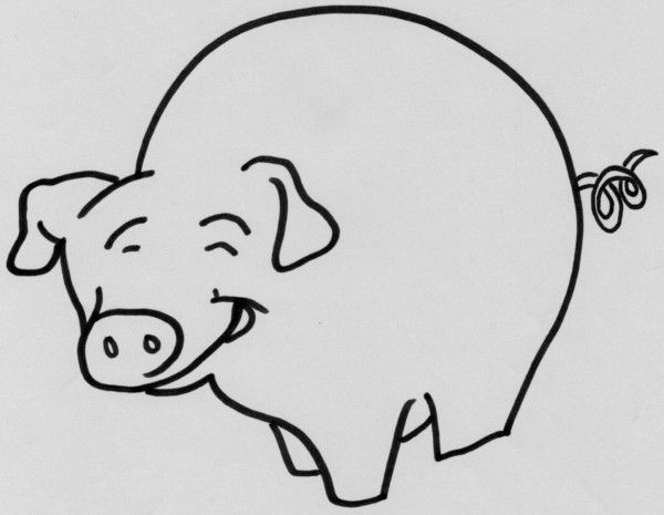 cochon a dessiner