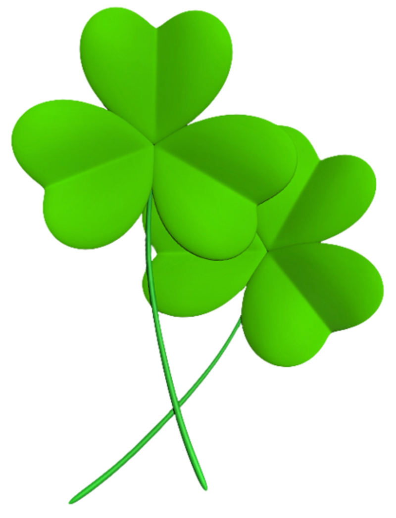 Transparent_Shamrocks_PNG_Clipart_Picture.png