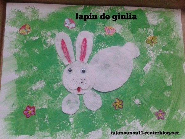 lapin des champs de giulia