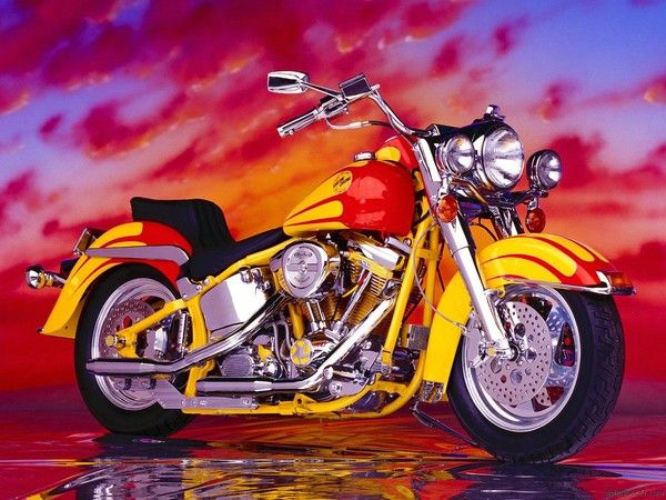 harley davidson