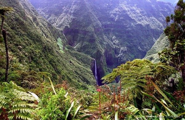 la reunion