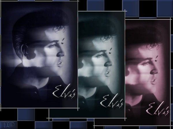 elvis presley