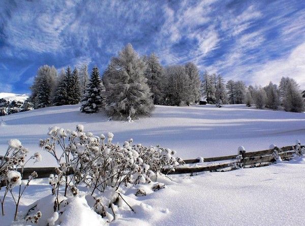 fond ecran paysage d hiver