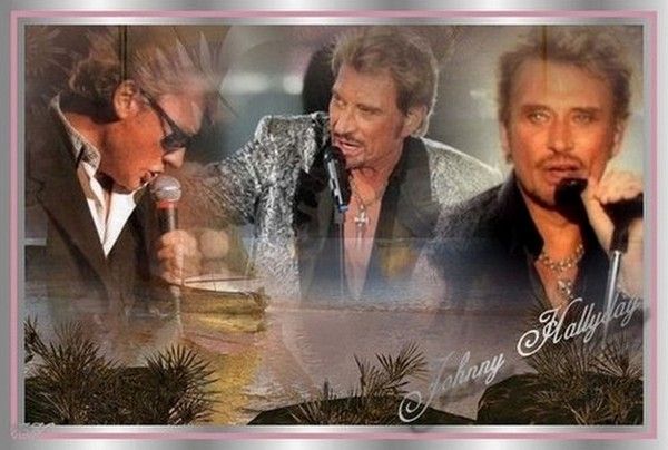 johnny hallyday