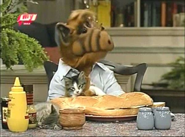 alf alf alf