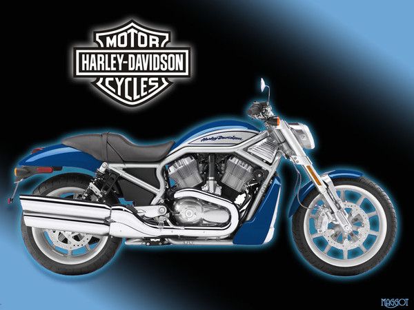 harley davidson