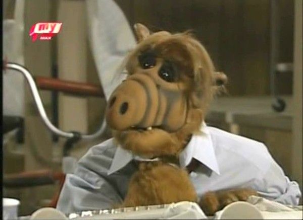 alf alf alf