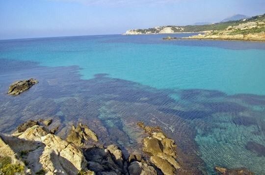 corse