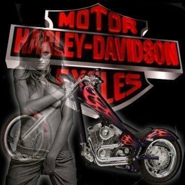 harley davidson