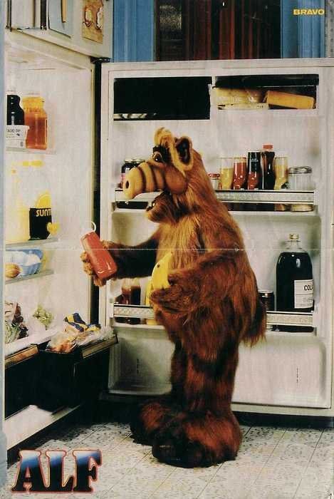 alf alf alf