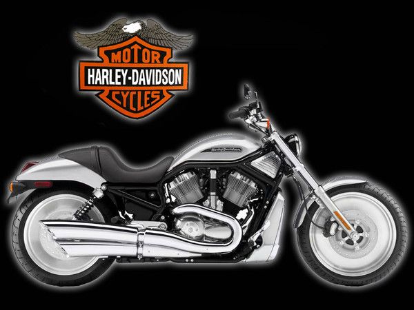 harley davidson