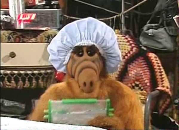 alf alf alf