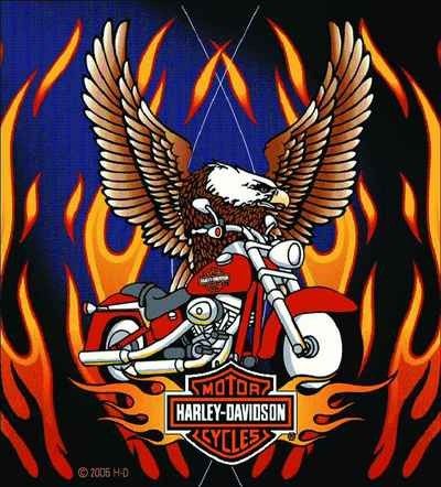 harley davidson