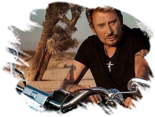 johnny hallyday