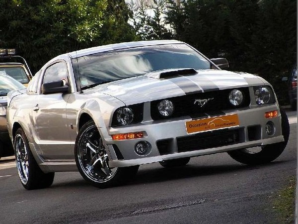 mustang