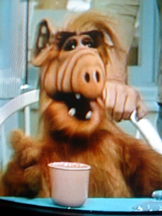 alf alf 